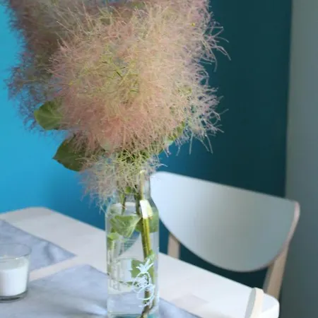 Apartment Rebus Sandanski